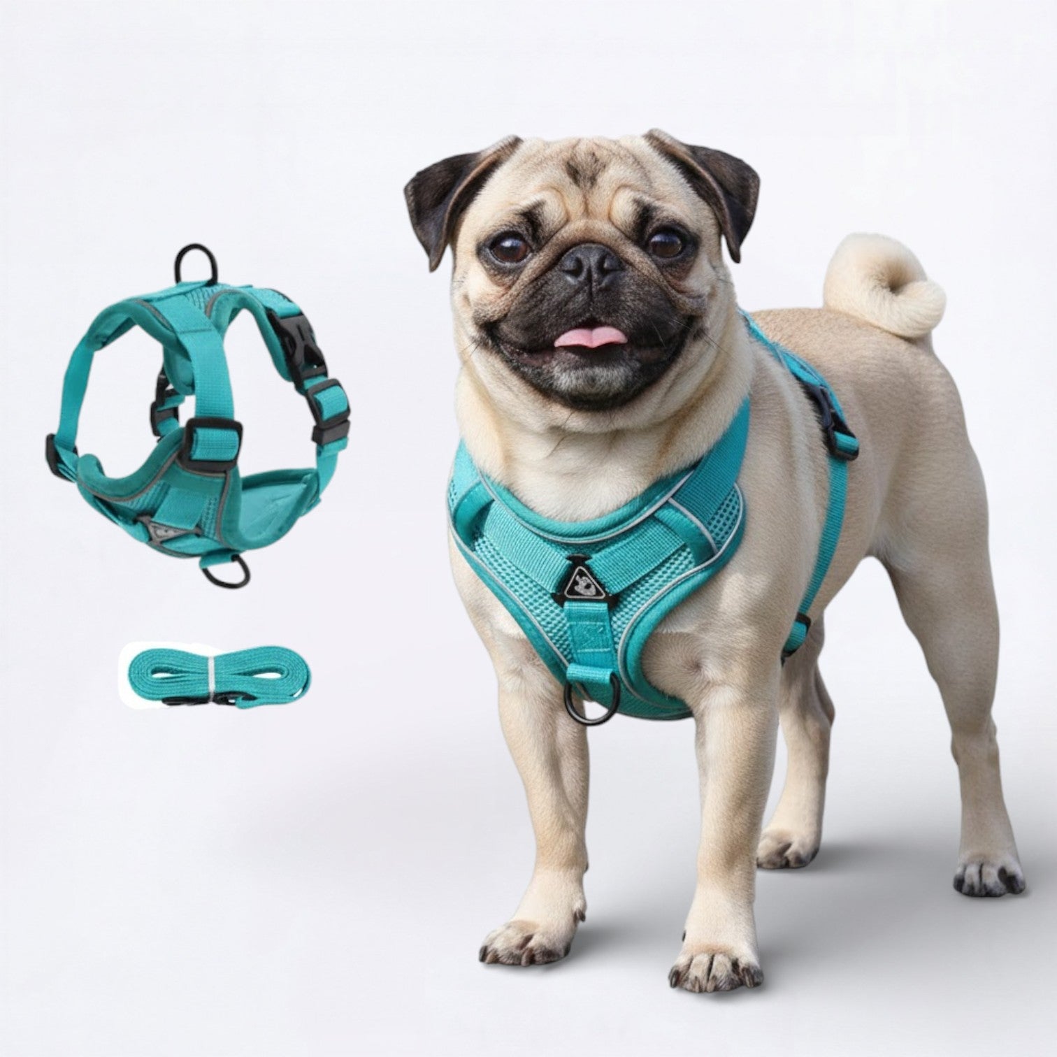 PawFlex-Pug-Harness-Leash-Set.jpg
