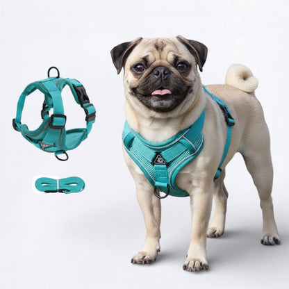 PawFlex-Pug-Harness-Leash-Set.jpg