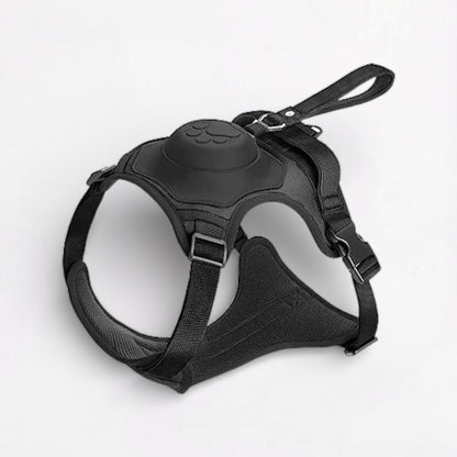 PawFlex-Pug-Harness-Leash-Set.jpg