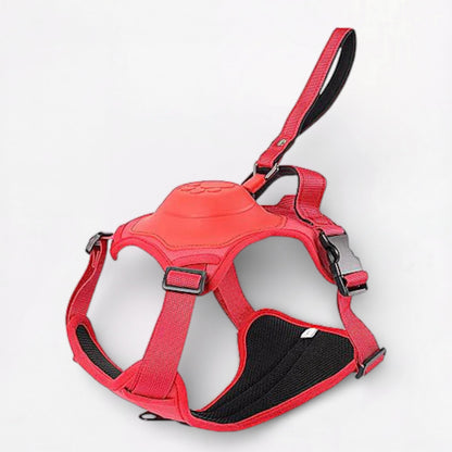 PawFlex-Pug-Harness-Leash-Set.jpg