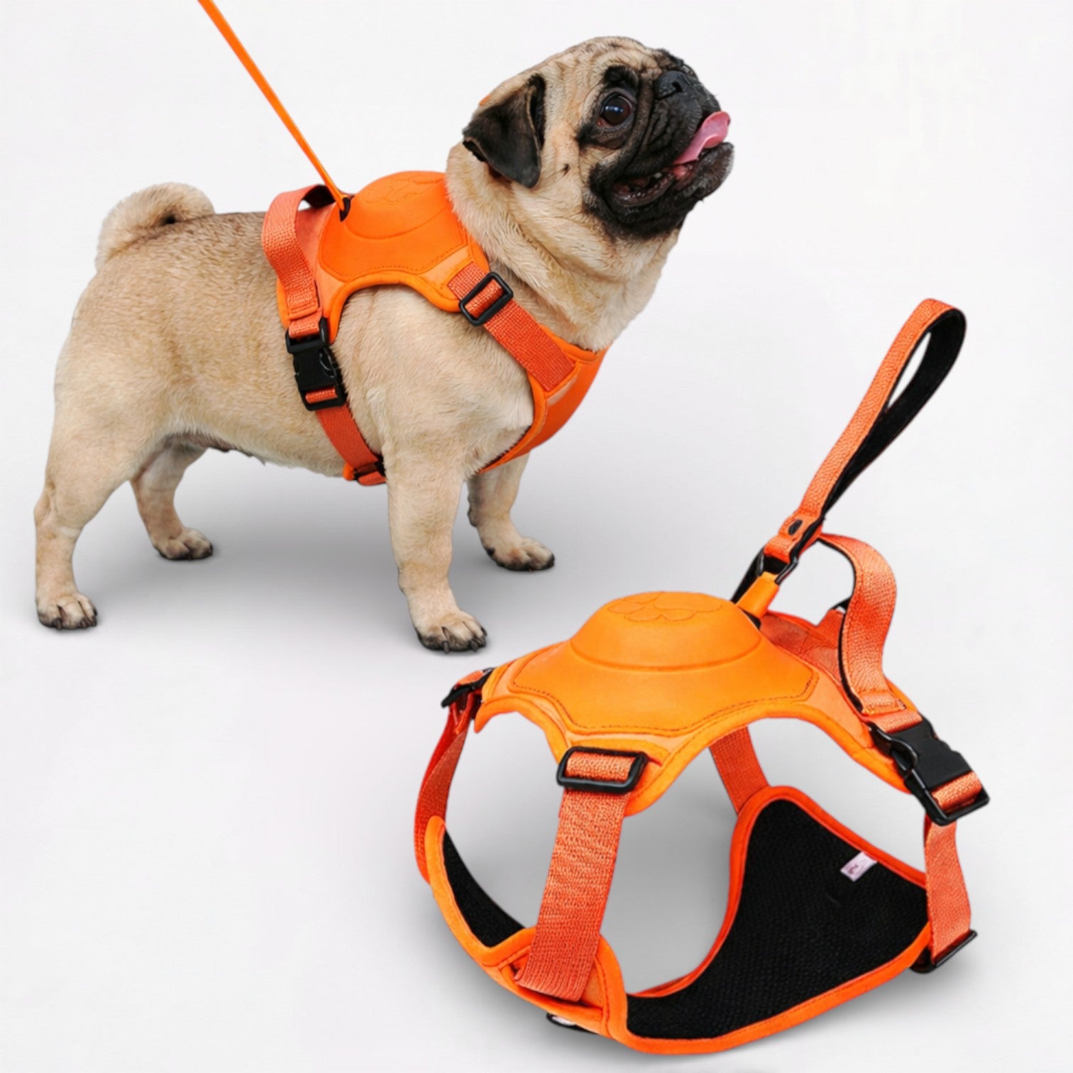 PawFlex-Pug-Harness-Leash-Set.jpg