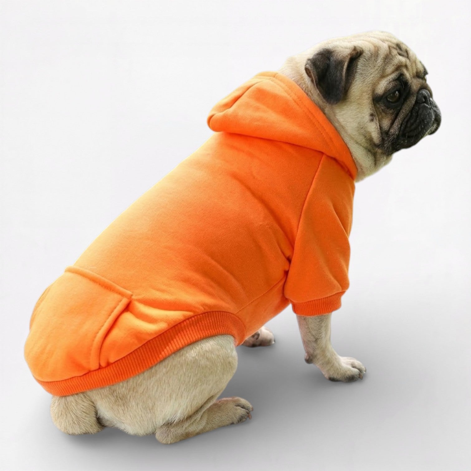 PawFlex-Pug-Sports-Hoodie.jpg