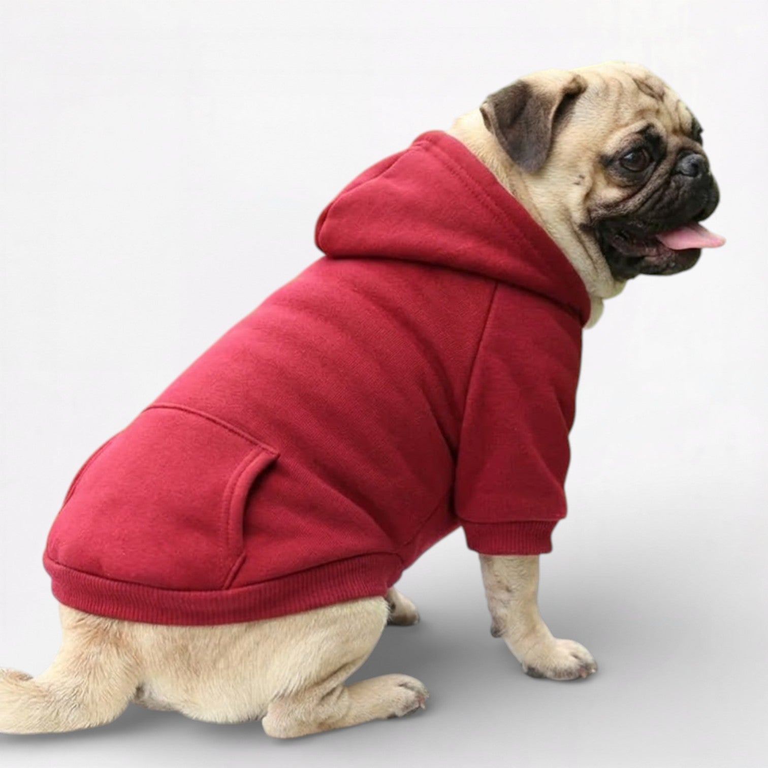 PawFlex-Pug-Sports-Hoodie.jpg