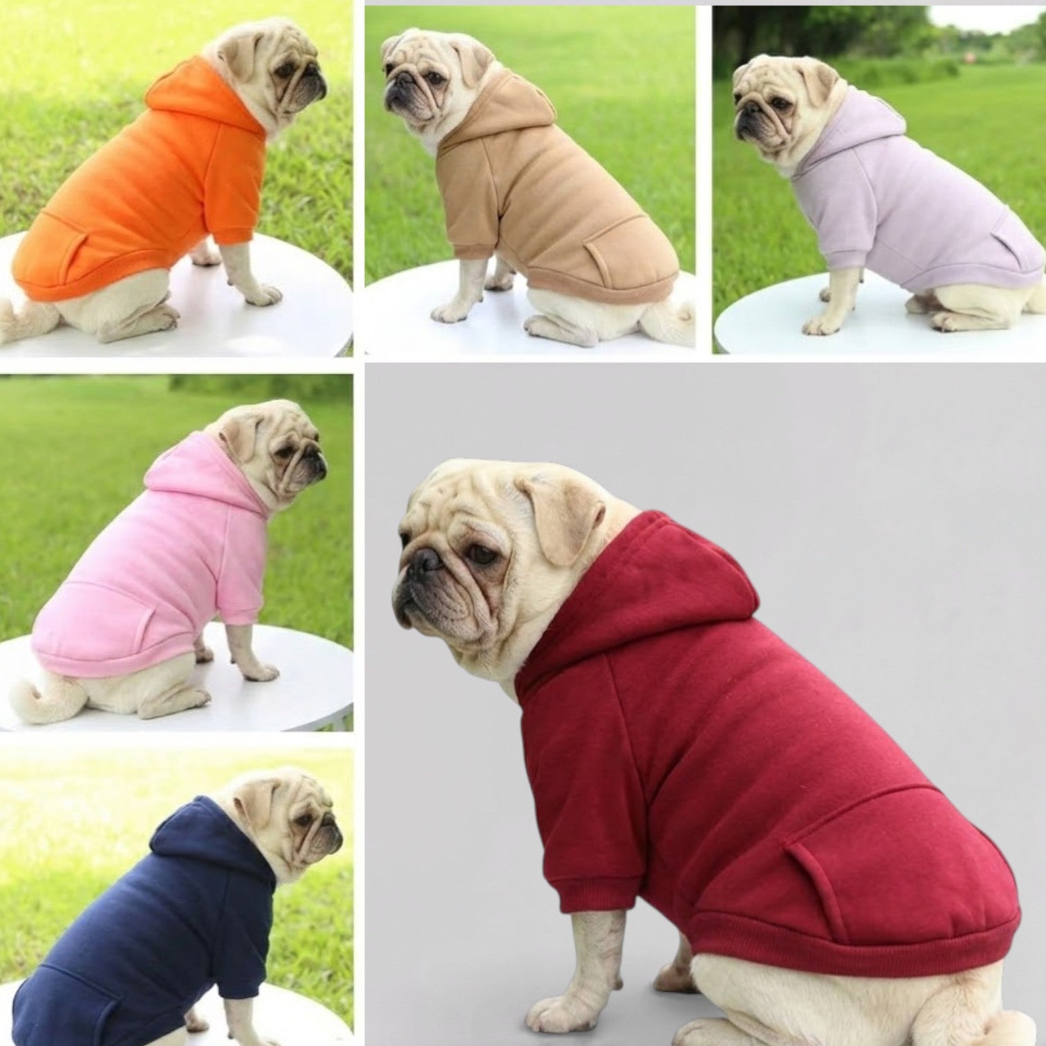PawFlex-Pug-Sports-Hoodie.jpg