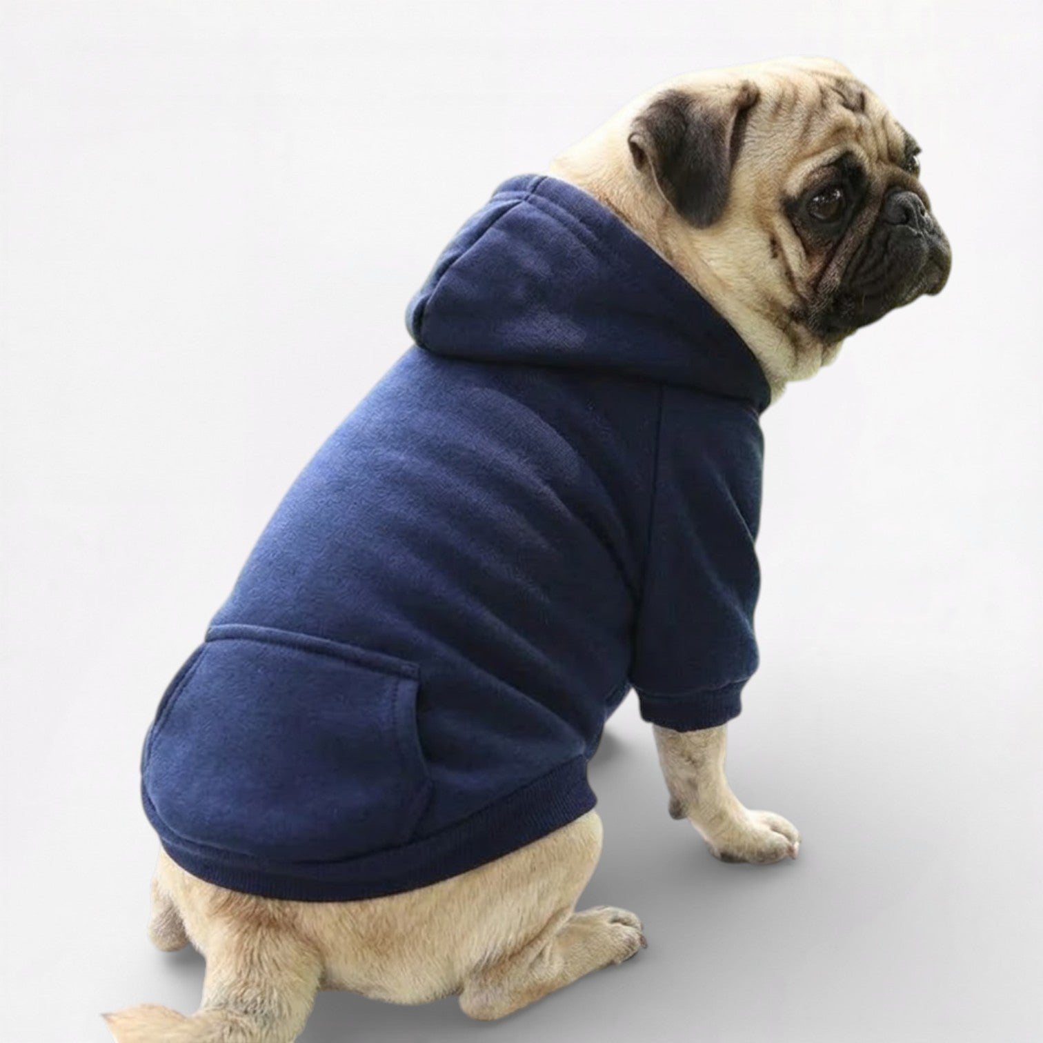PawFlex-Pug-Sports-Hoodie.jpg