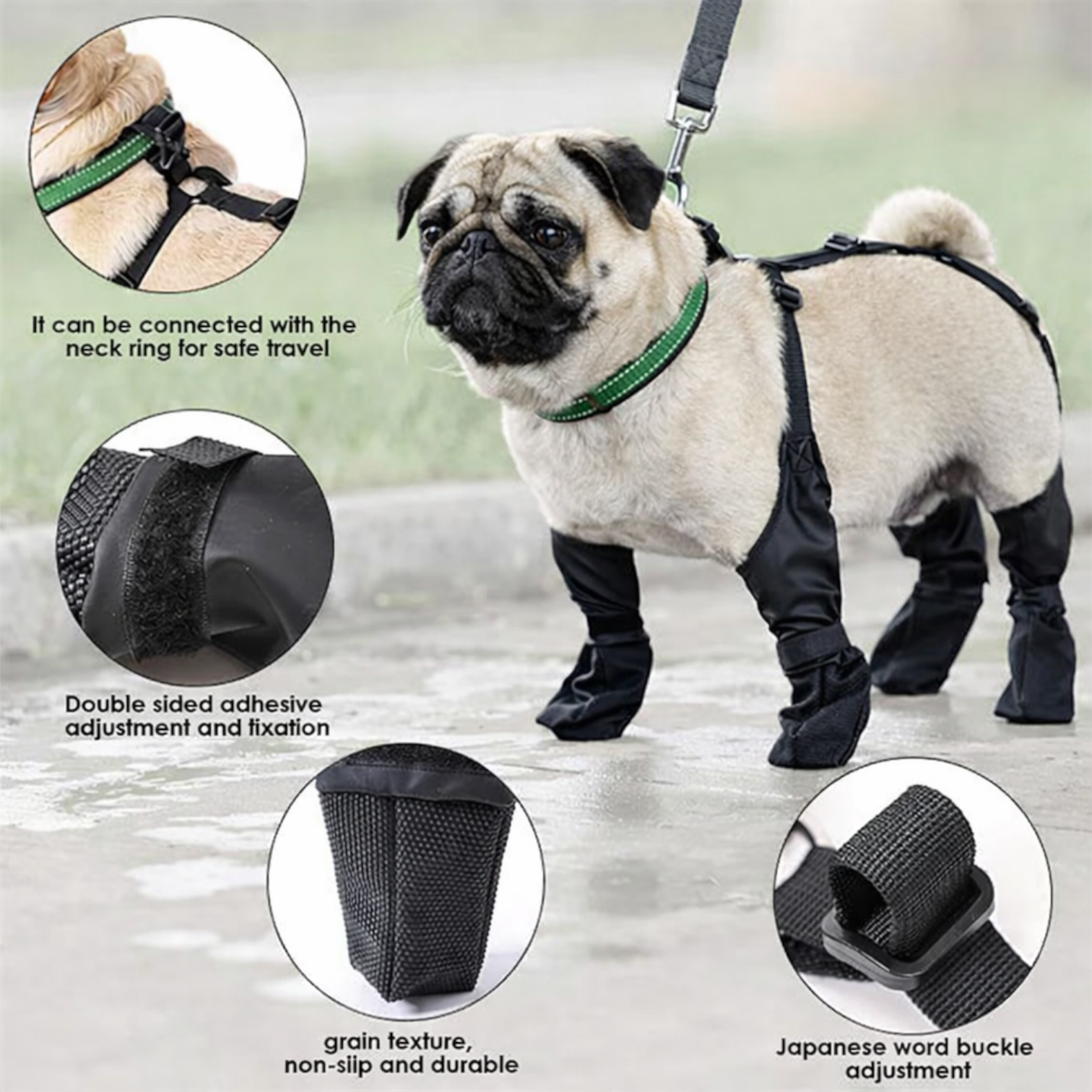 PawGuard-Pug-Footwear.jpg