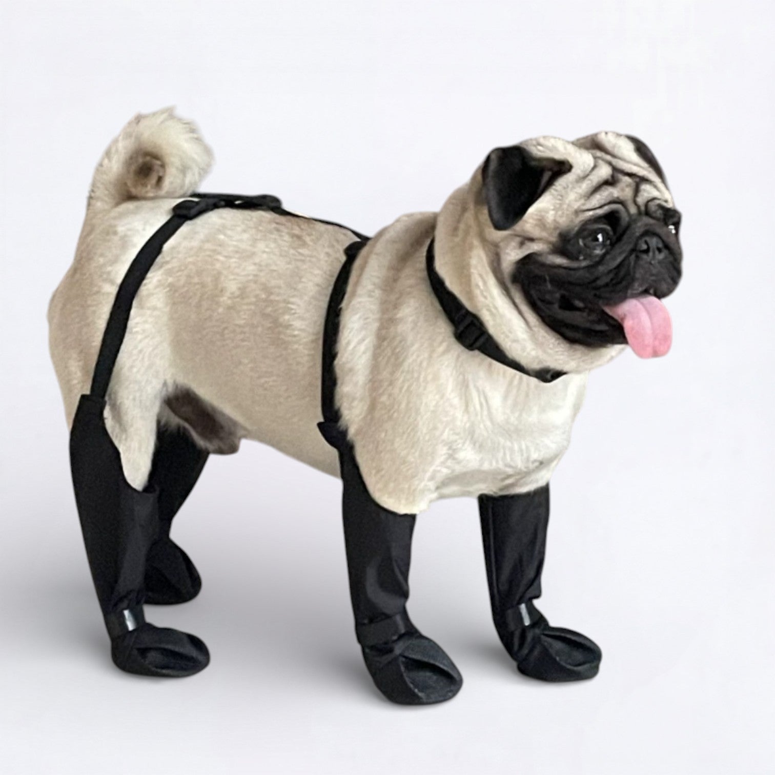 PawGuard-Pug-Footwear.jpg