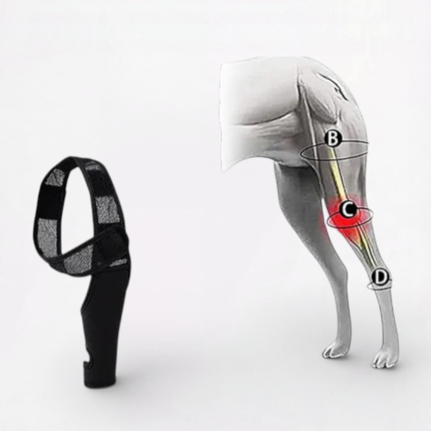 PawGuard-Pug-Knee-Support-Brace.jpg