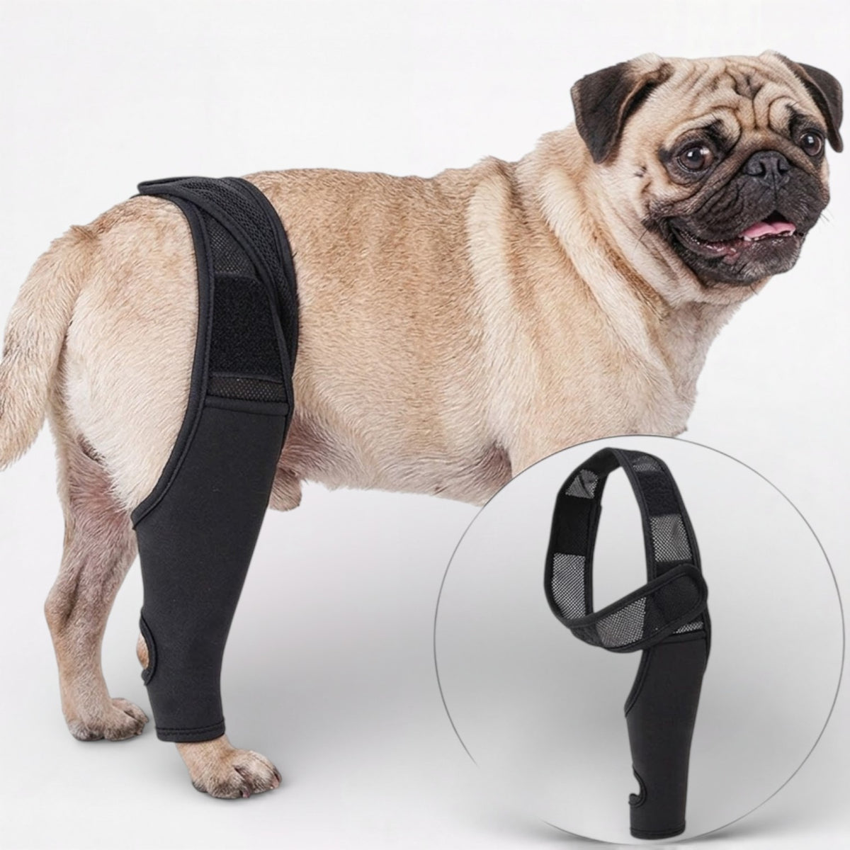 PawGuard-Pug-Knee-Support-Brace.jpg