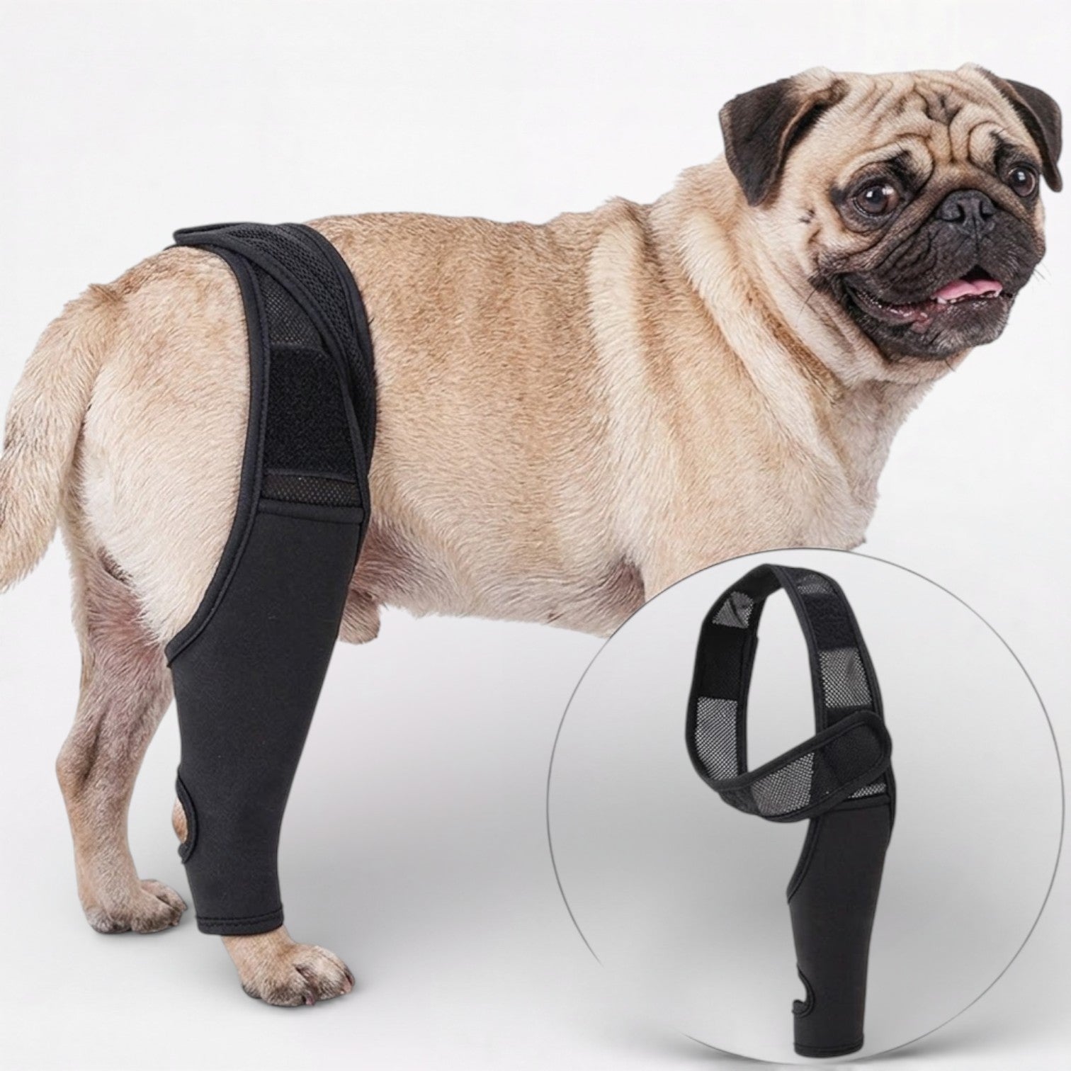 PawGuard-Pug-Knee-Support-Brace.jpg