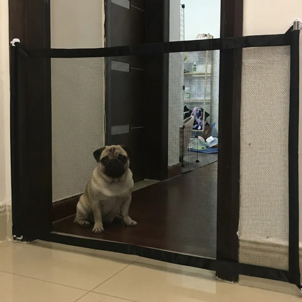 PawGuard-Pug-Magic-Gate.jpg