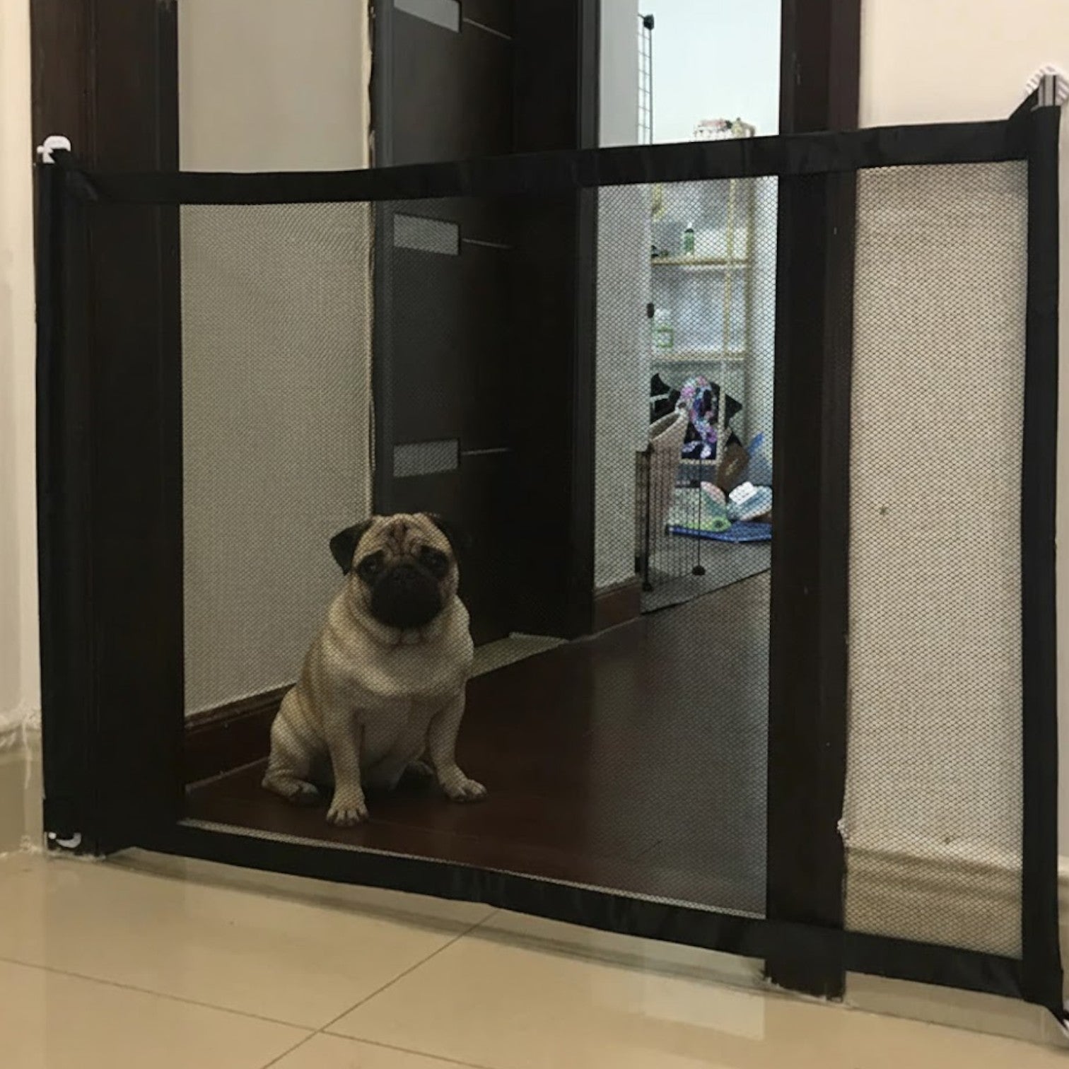 PawGuard-Pug-Magic-Gate.jpg