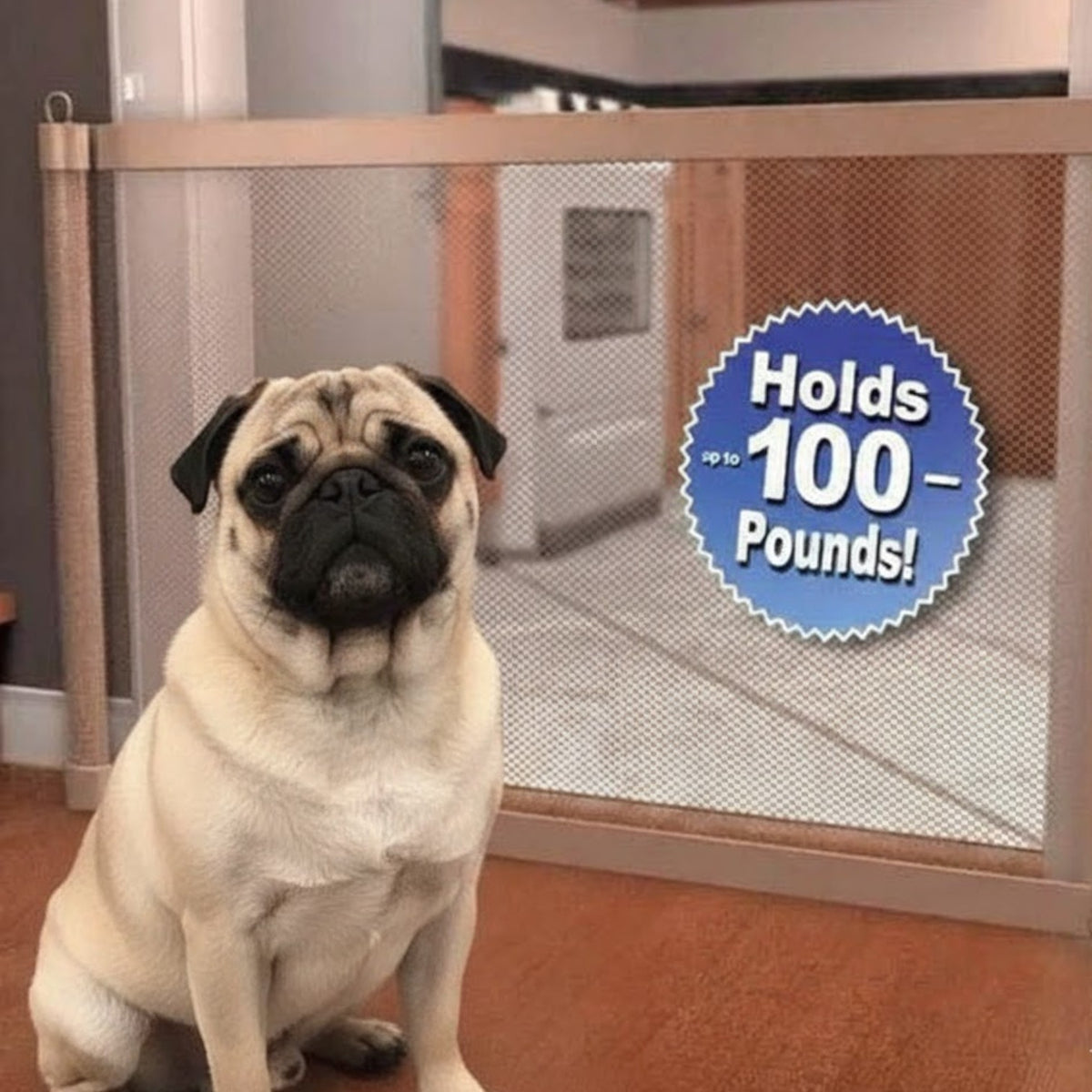 PawGuard-Pug-Magic-Gate.jpg