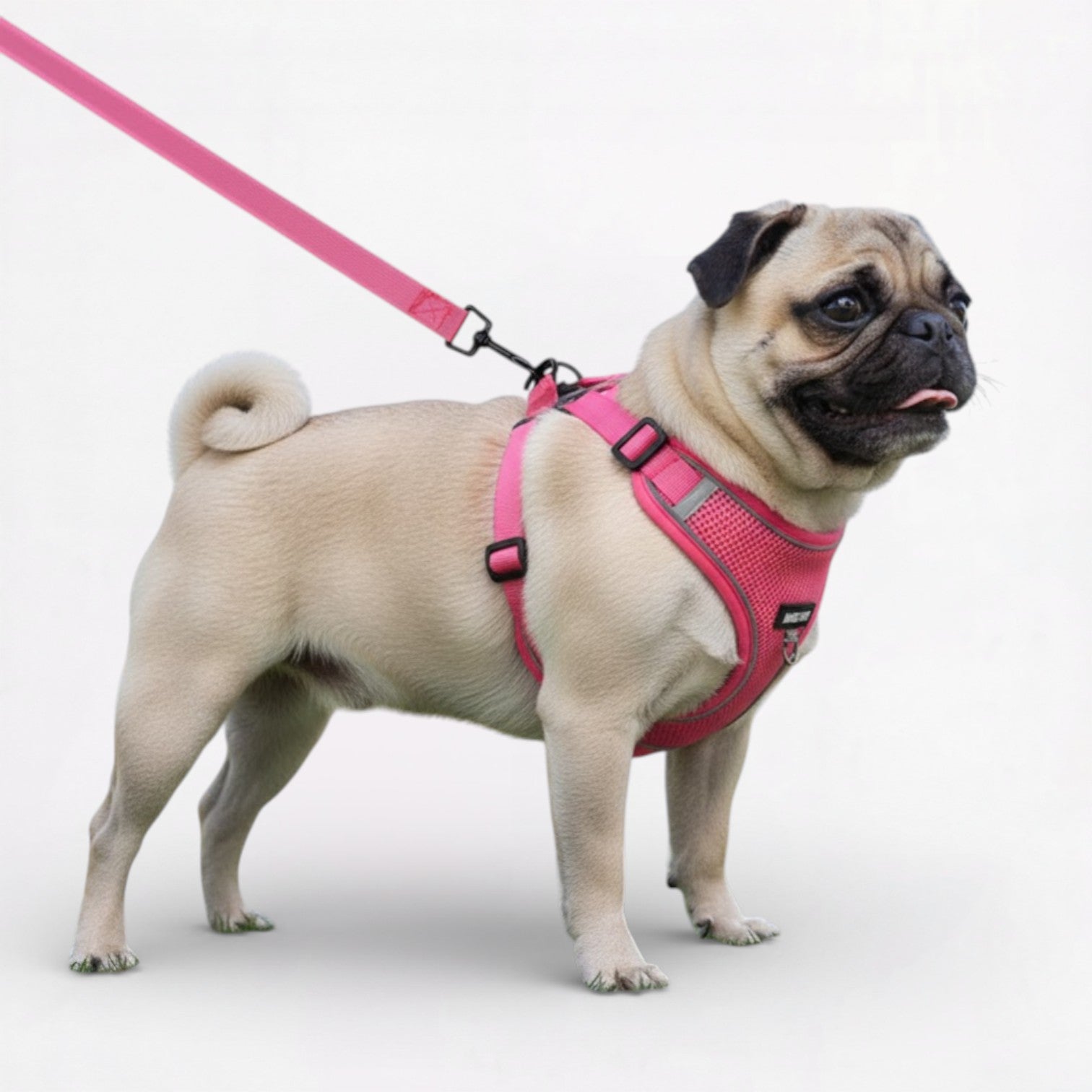 PawGuard-Pug-No-Pull-Harness-Set.jpg