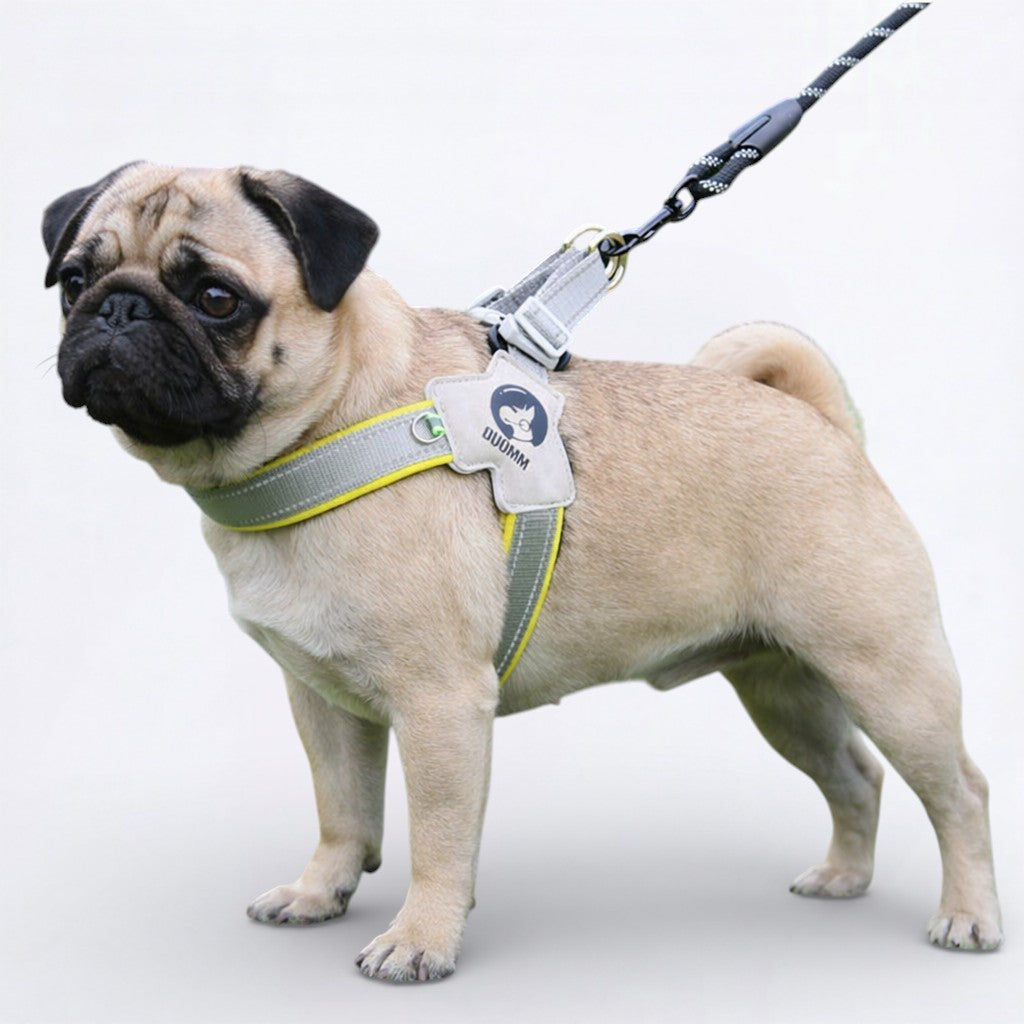 PawGuard-Pug-No-Pull-Reflective-Harness.jpg