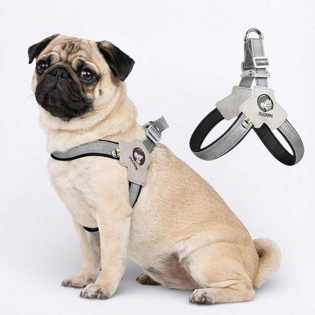 PawGuard-Pug-No-Pull-Reflective-Harness.jpg