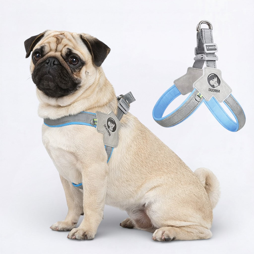 PawGuard-Pug-No-Pull-Reflective-Harness.jpg