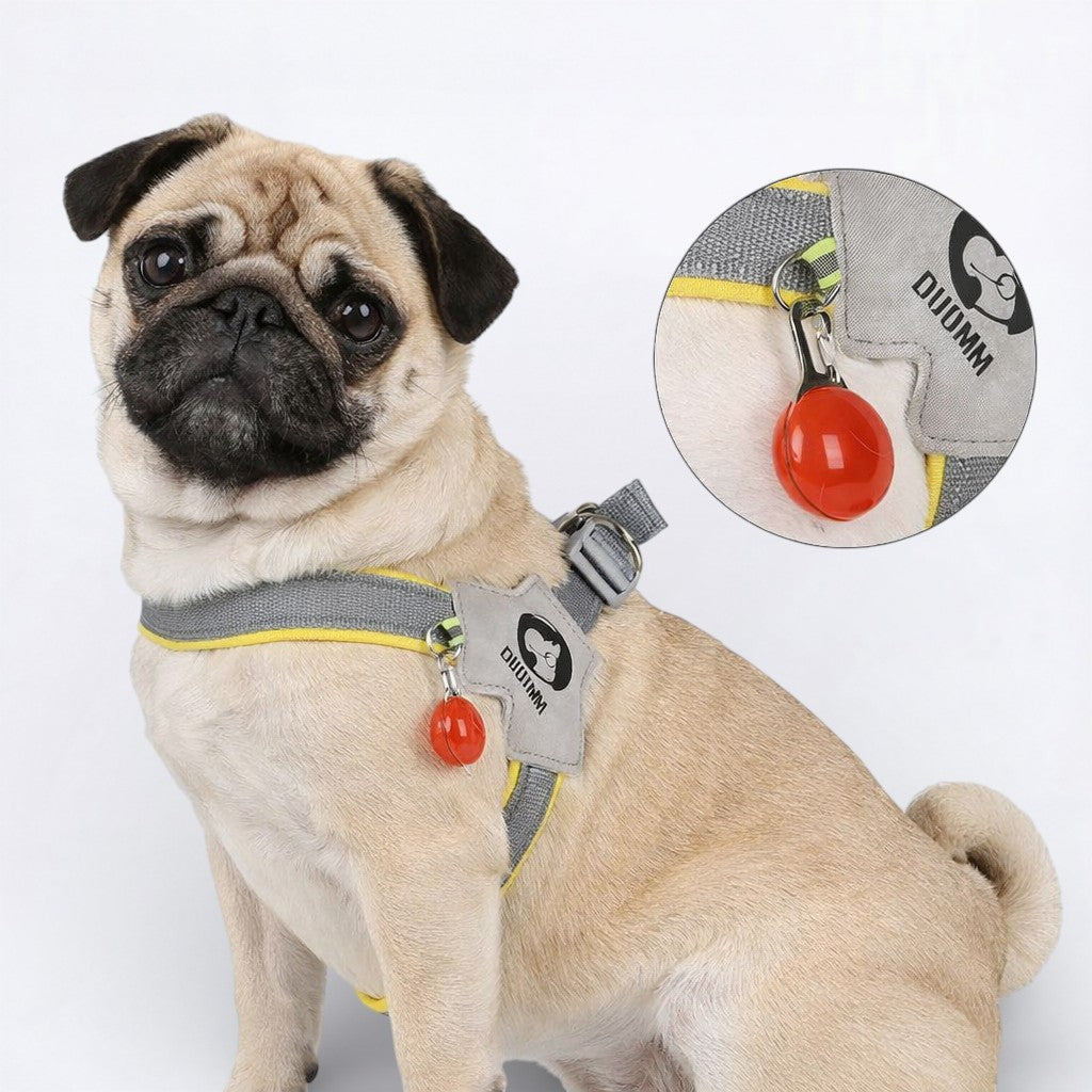 PawGuard-Pug-No-Pull-Reflective-Harness.jpg