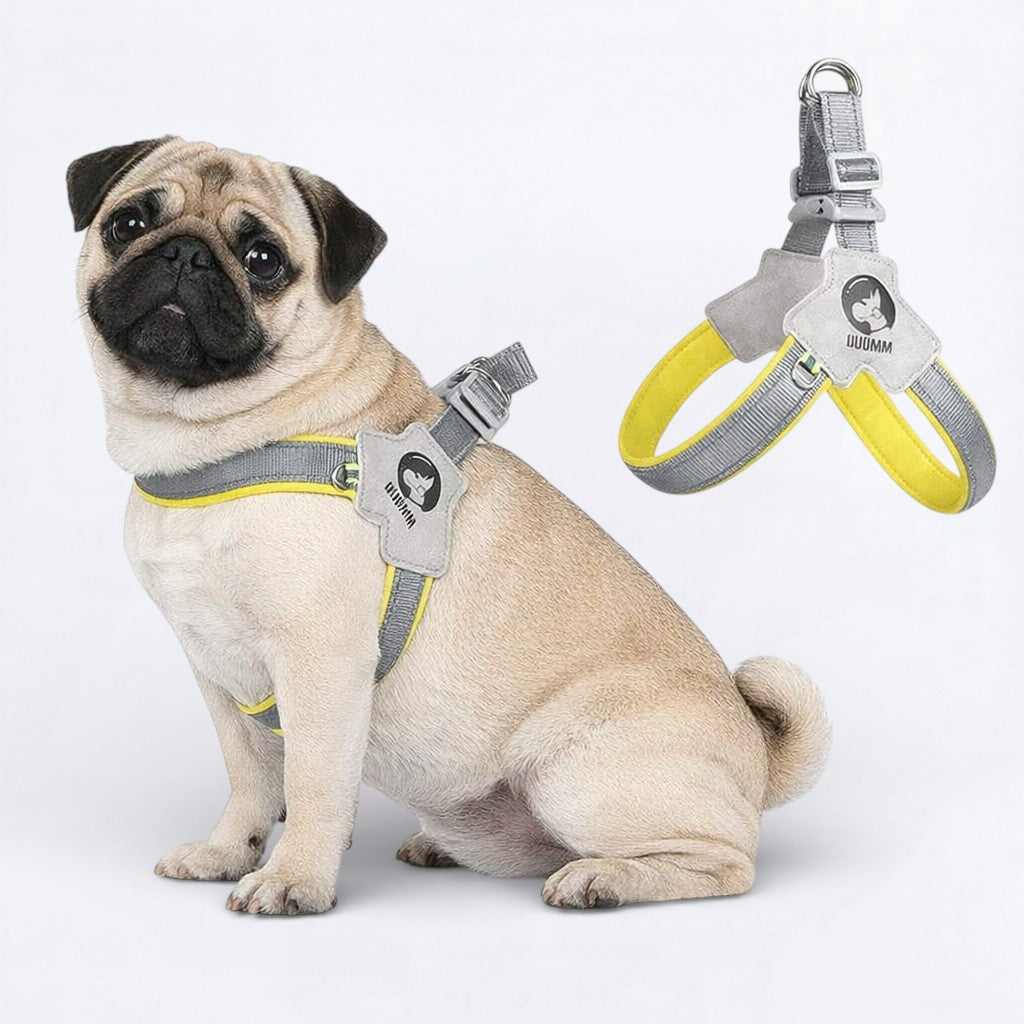 PawGuard-Pug-No-Pull-Reflective-Harness.jpg