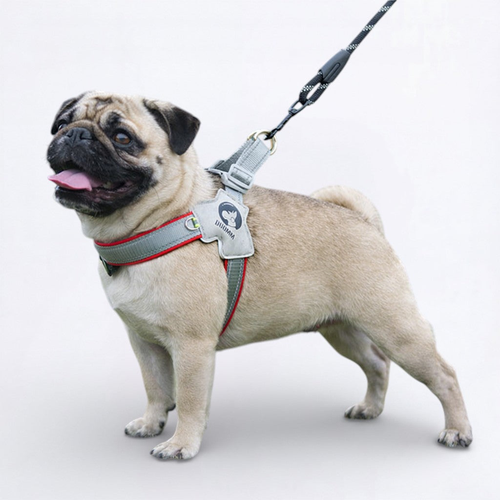 PawGuard-Pug-No-Pull-Reflective-Harness.jpg