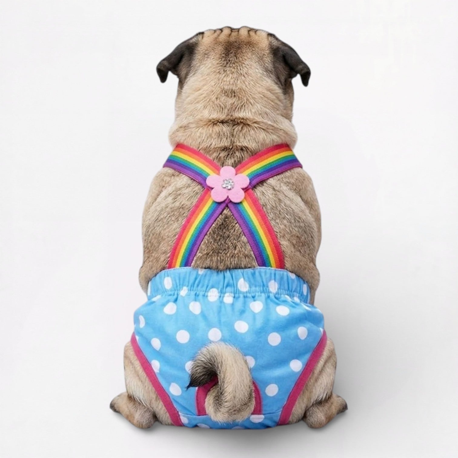 PawLina-Pug-Washable-Diaper-Dress.jpg