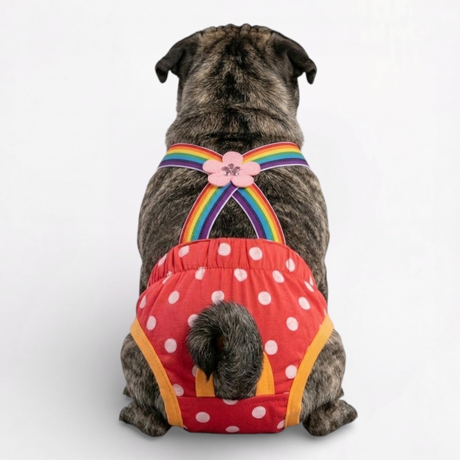 PawLina-Pug-Washable-Diaper-Dress.jpg