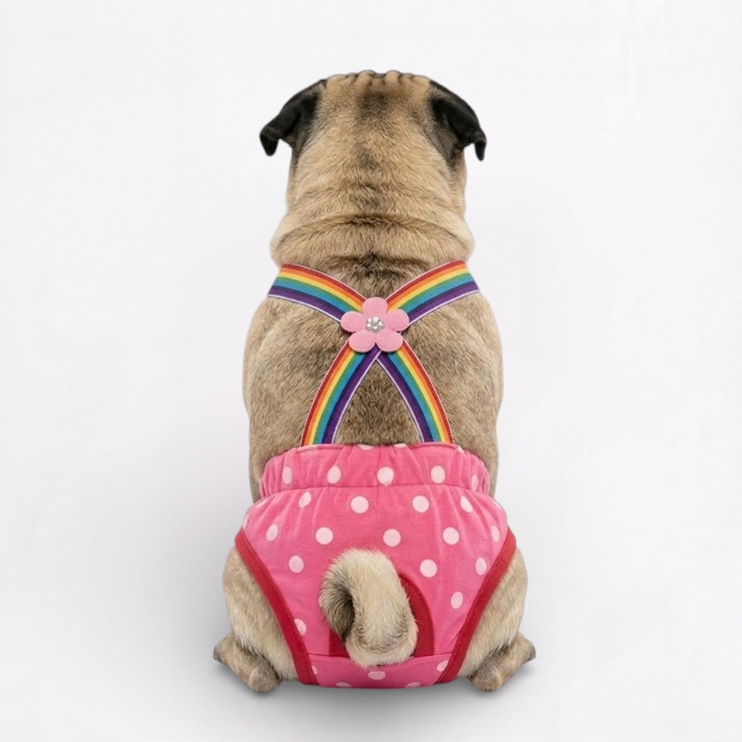 PawLina-Pug-Washable-Diaper-Dress.jpg