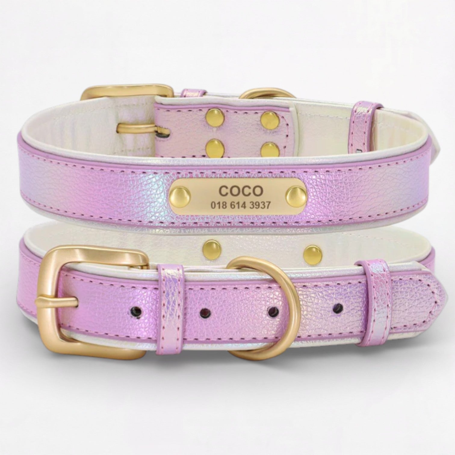 PawLize-Pug-Personalized-Collar.jpg