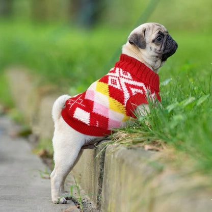 PawLoom-Pug-Knitted-Winter-Sweater.jpg