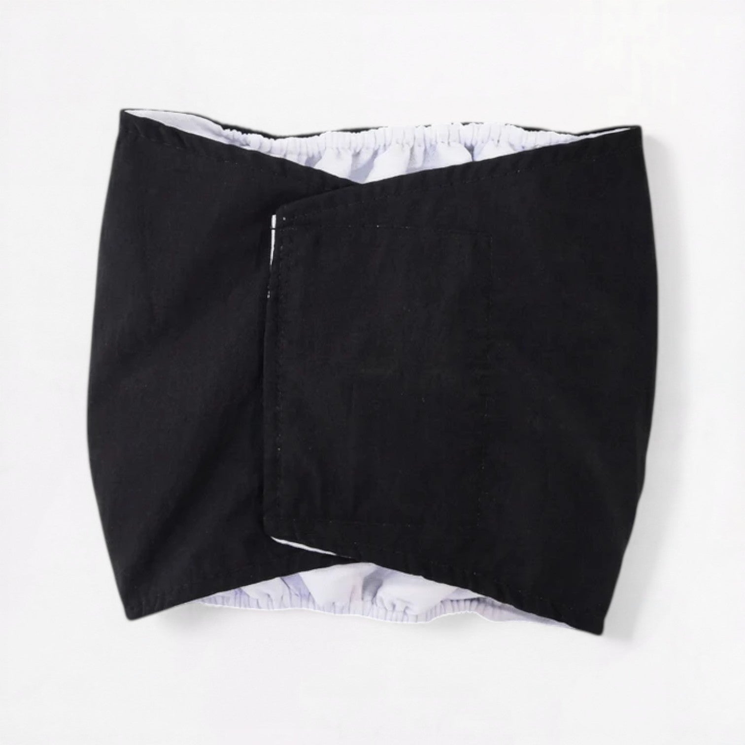PawLuna-Pug-Reusable-Diaper.jpg