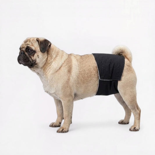 PawLuna-Pug-Reusable-Diaper.jpg