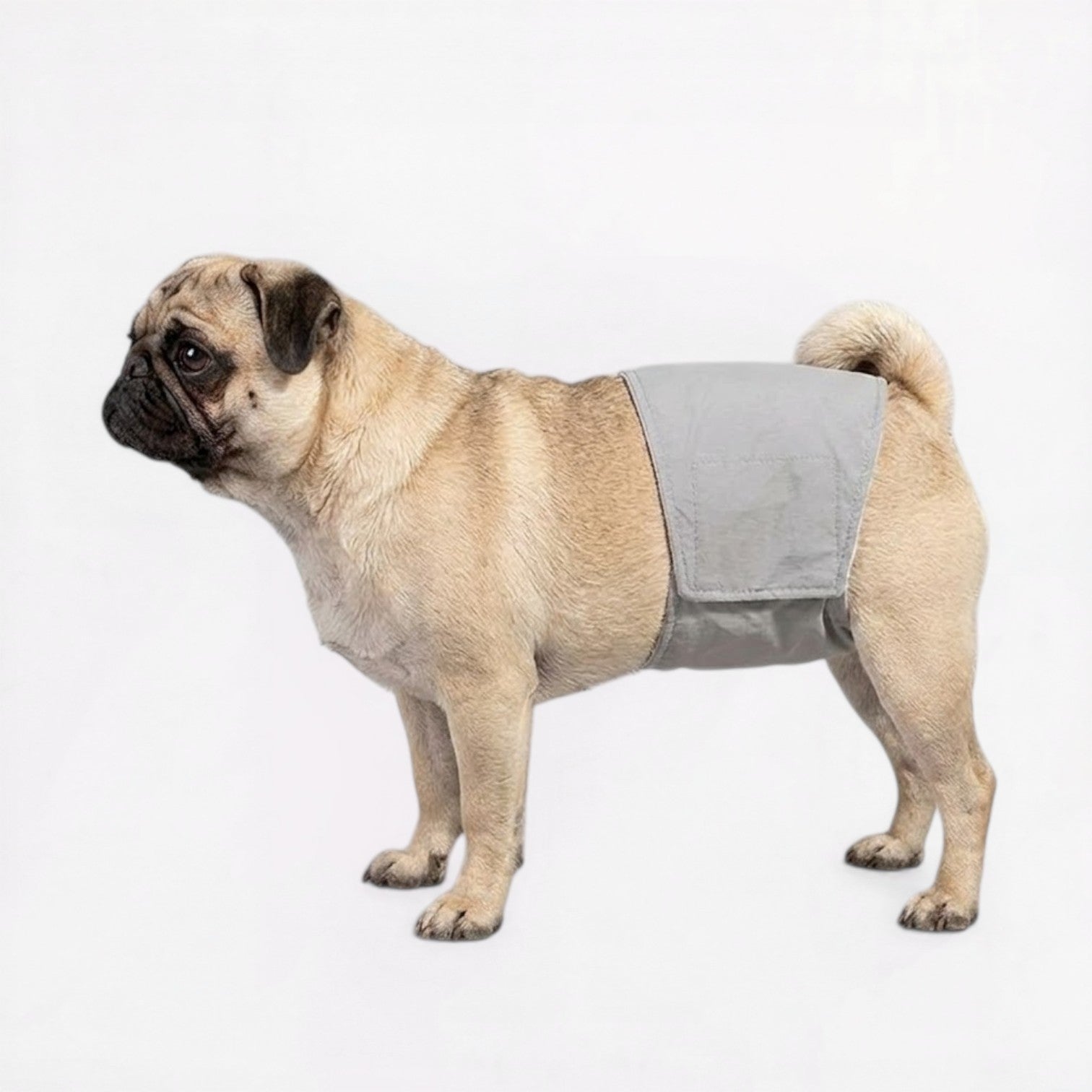 PawLuna-Pug-Reusable-Diaper.jpg