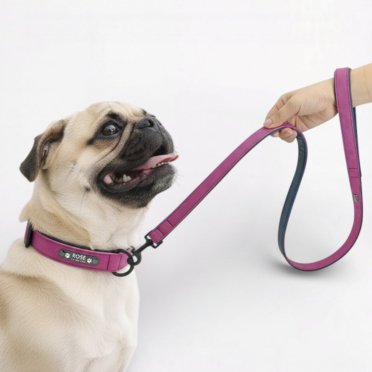 PawLuxe-Pug-Collar-Leash-Set.jpg