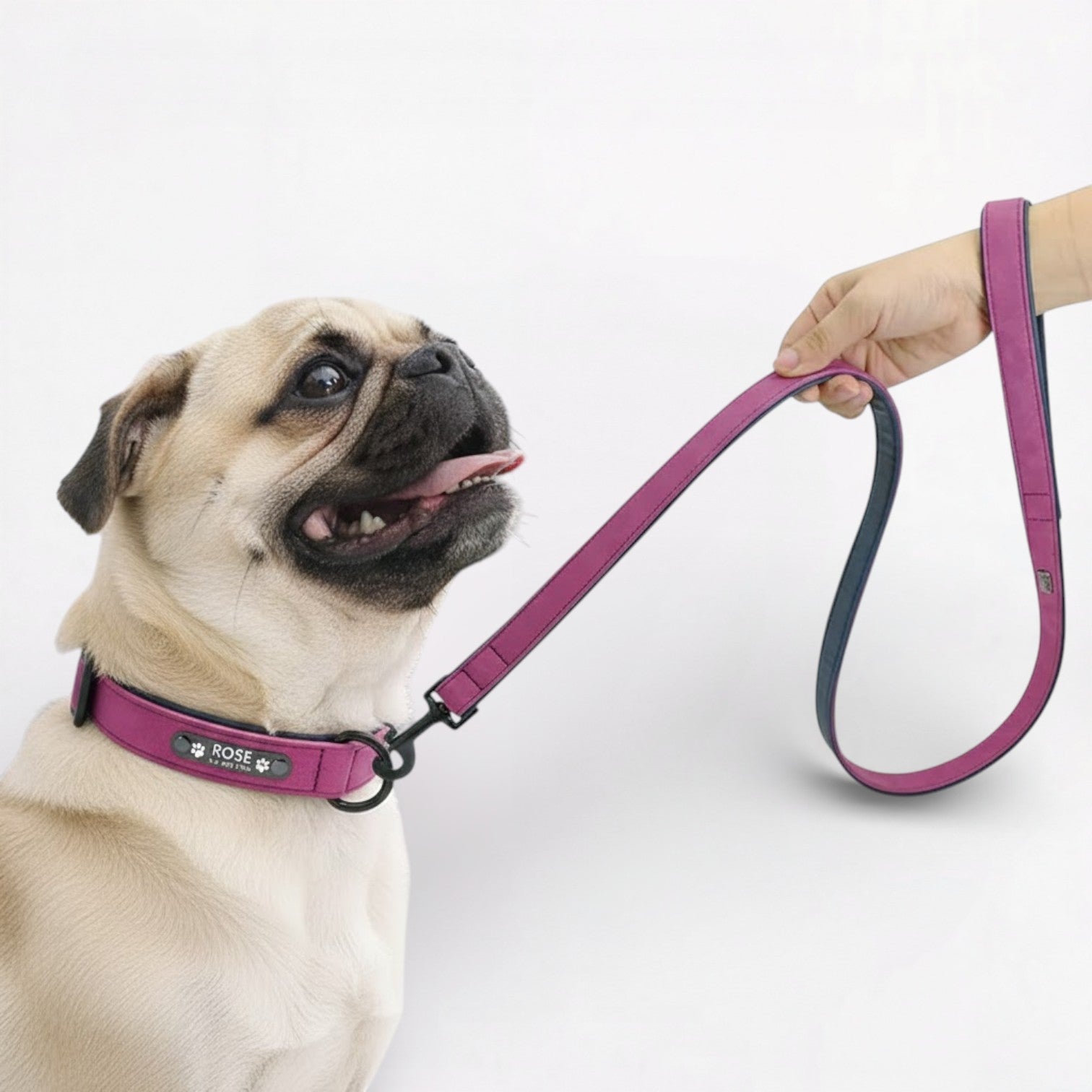 PawLuxe-Pug-Collar-Leash-Set.jpg