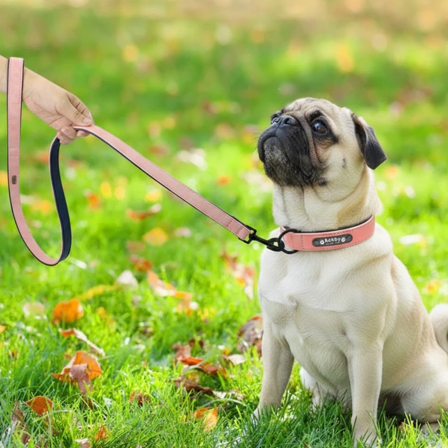 PawLuxe-Pug-Collar-Leash-Set.jpg