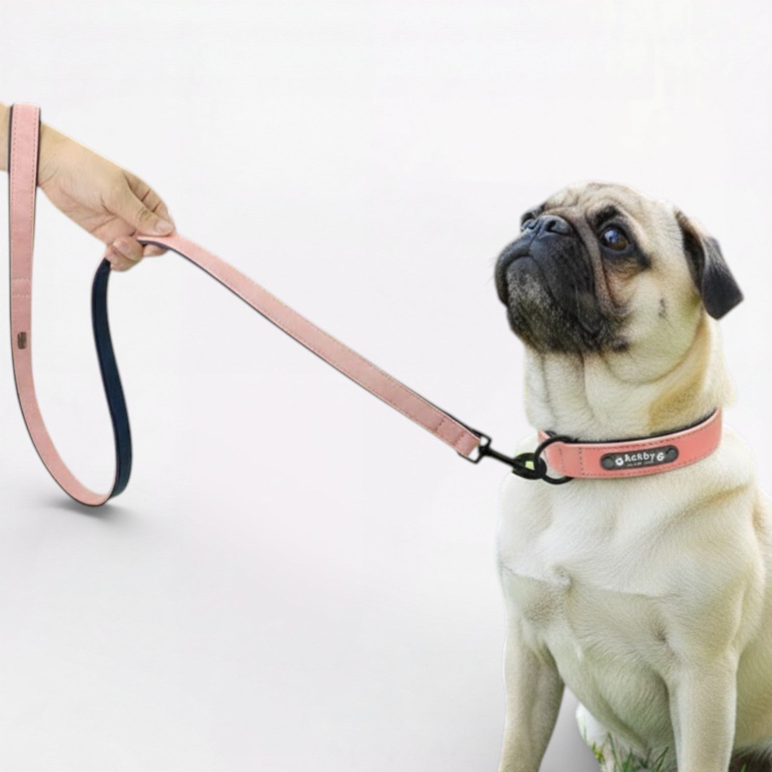 PawLuxe-Pug-Collar-Leash-Set.jpg