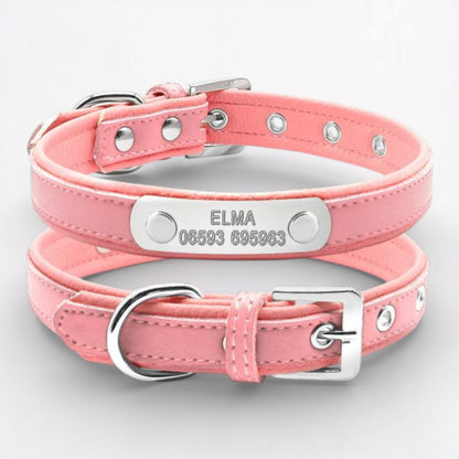 PawLuxe-Pug-Custom-Collar.jpg