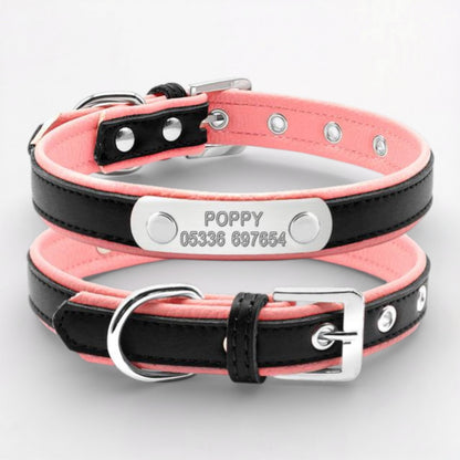 PawLuxe-Pug-Custom-Collar.jpg