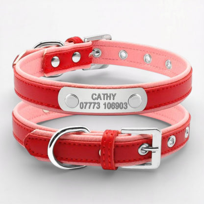 PawLuxe-Pug-Custom-Collar.jpg