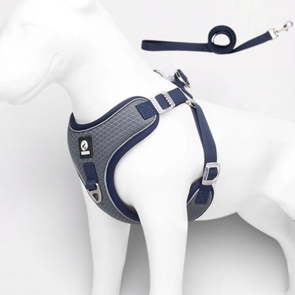 PawLuxe-Pug-Harness-Leash-Set.jpg