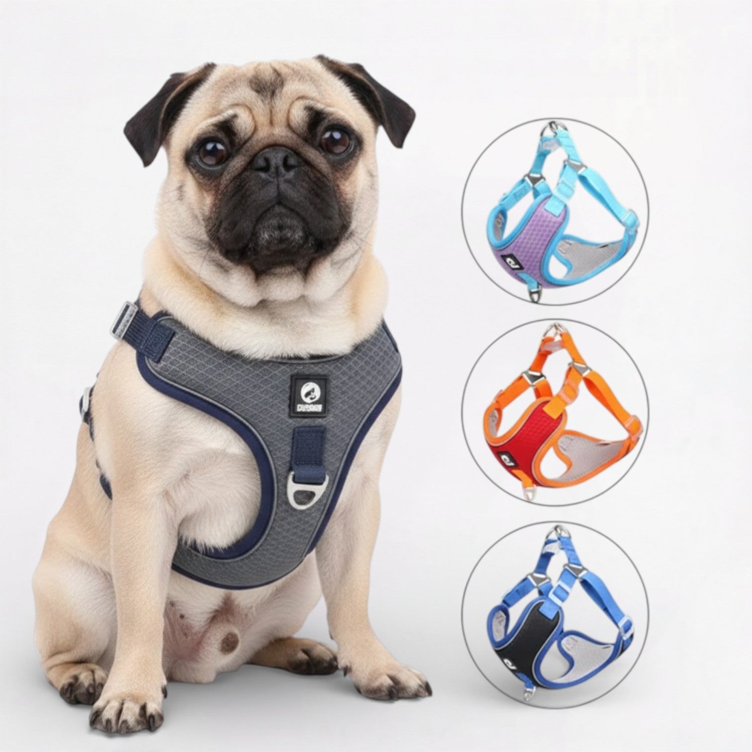PawLuxe-Pug-Harness-Leash-Set.jpg