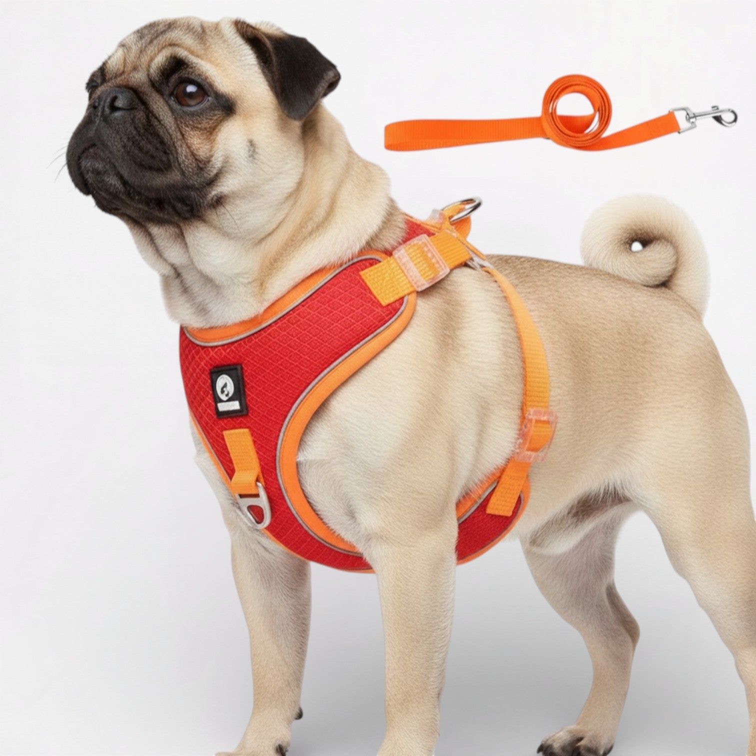 PawLuxe-Pug-Harness-Leash-Set.jpg