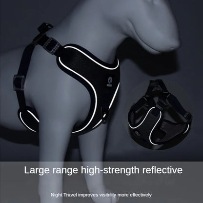 PawLuxe-Pug-Harness-Leash-Set.jpg