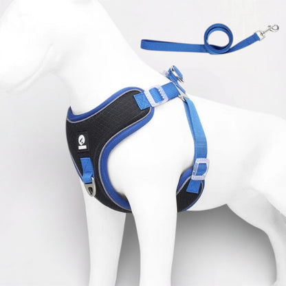PawLuxe-Pug-Harness-Leash-Set.jpg