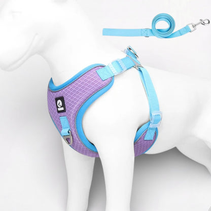 PawLuxe-Pug-Harness-Leash-Set.jpg