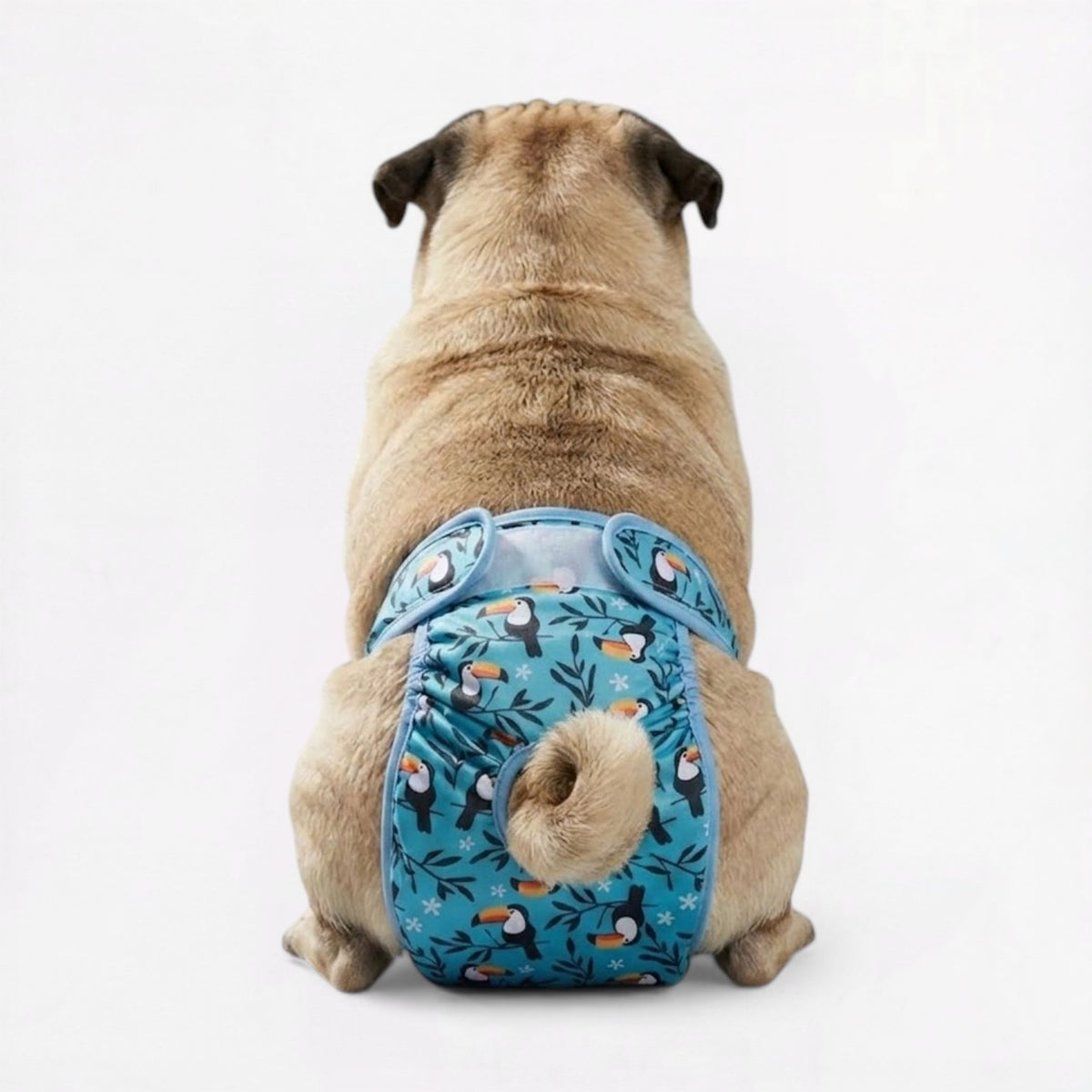 PawMimi-Pug-Washable-Diaper.jpg