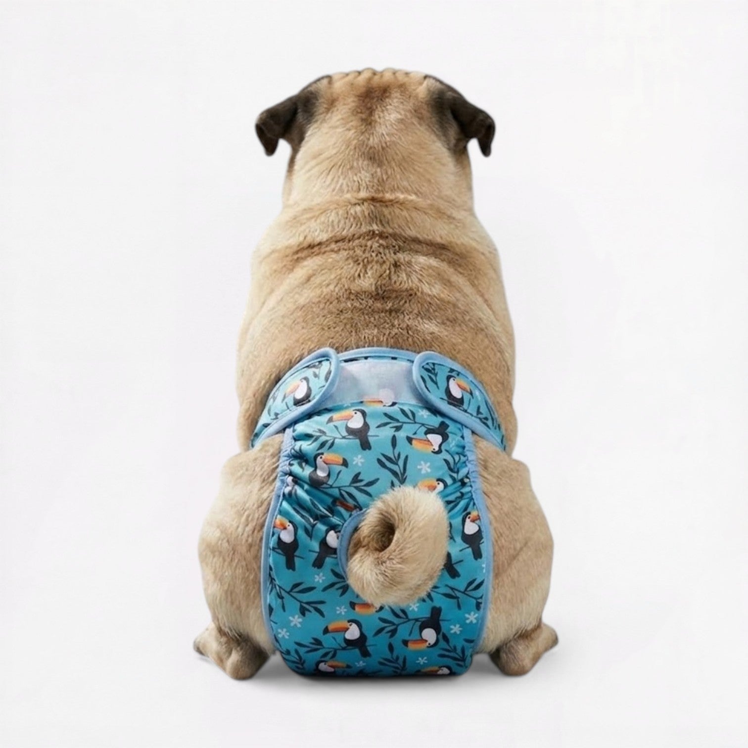PawMimi-Pug-Washable-Diaper.jpg