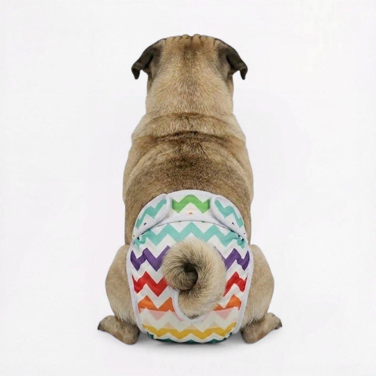 PawMimi-Pug-Washable-Diaper.jpg
