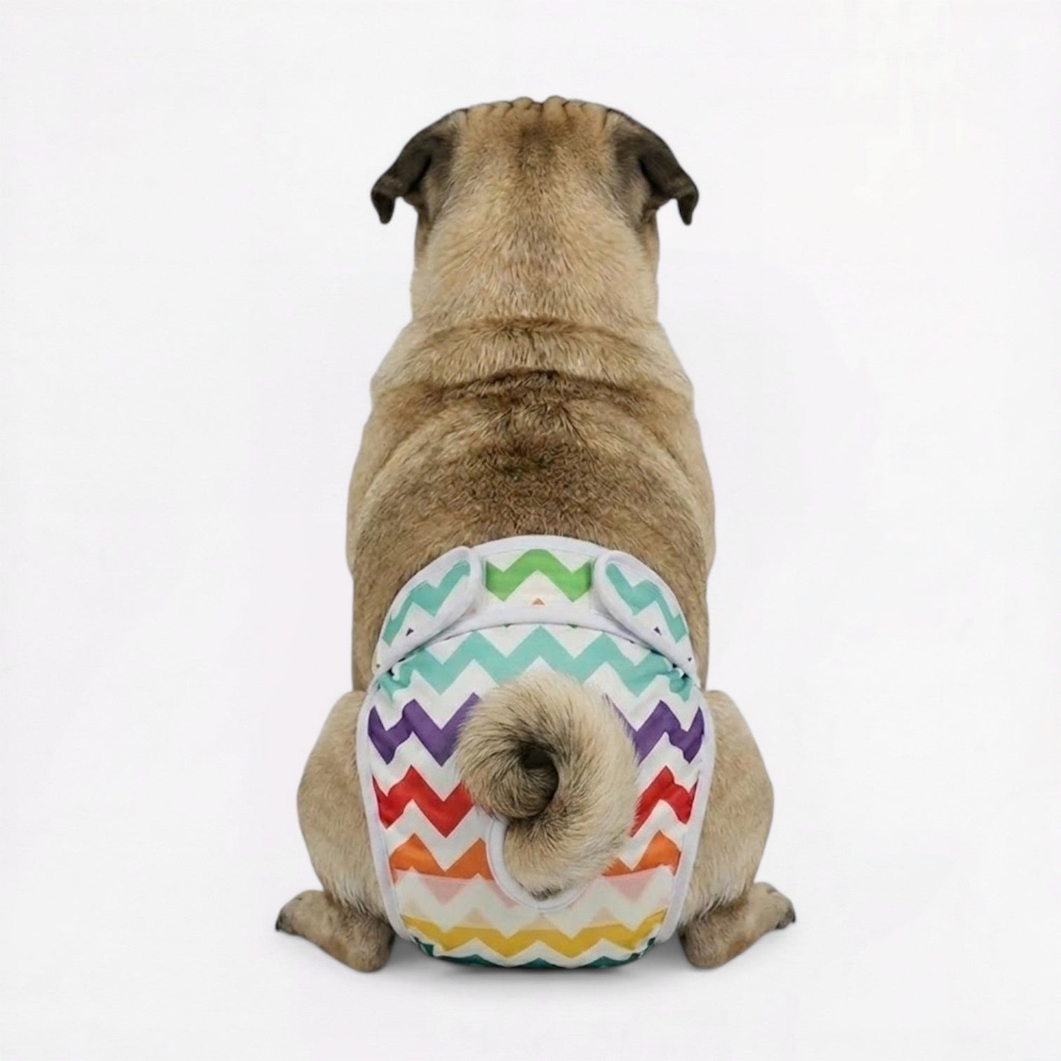 PawMimi-Pug-Washable-Diaper.jpg