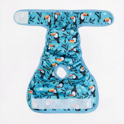 PawMimi-Pug-Washable-Diaper.jpg